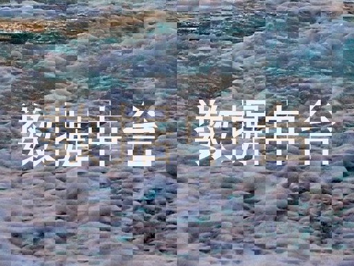 数据中台