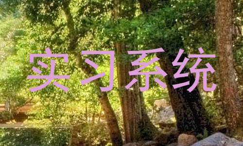 实习系统