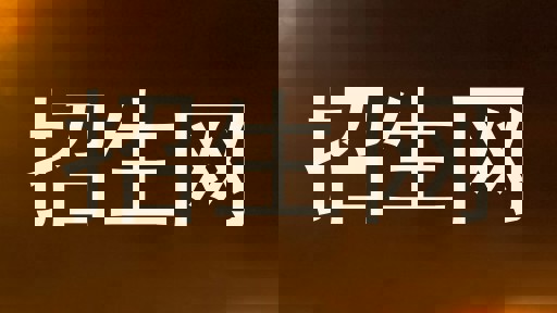 招生网