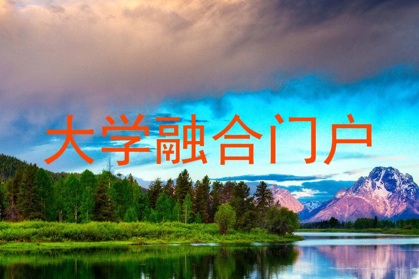 大学融合门户