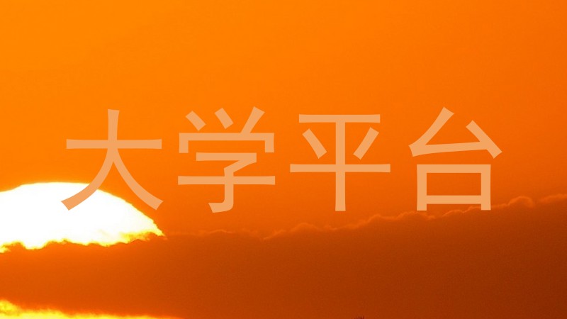 大学平台