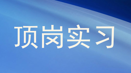顶岗实习