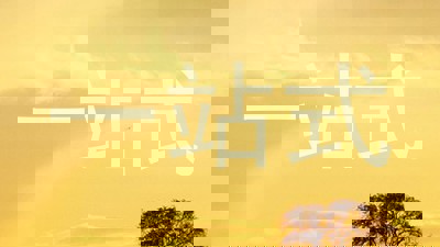 一站式