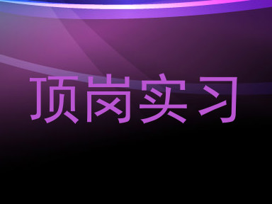 顶岗实习