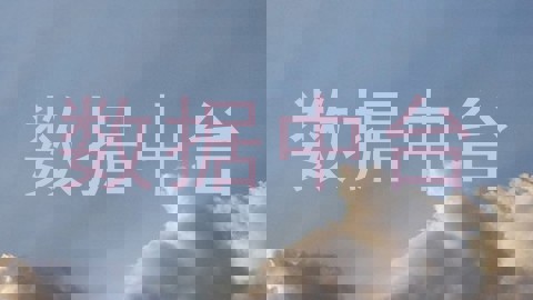 数据中台