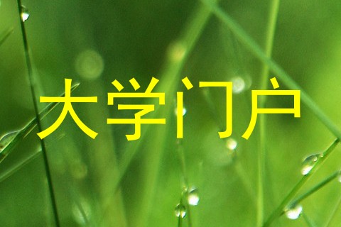大学门户