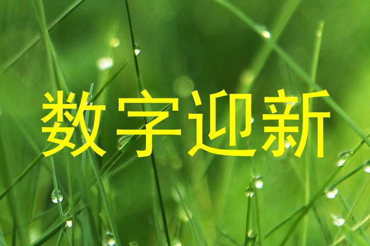 数字迎新