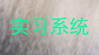 实习系统