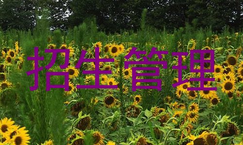 招生管理