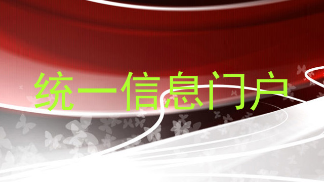 统一信息门户