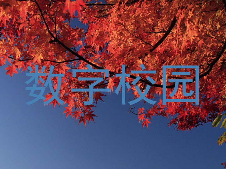 数字校园