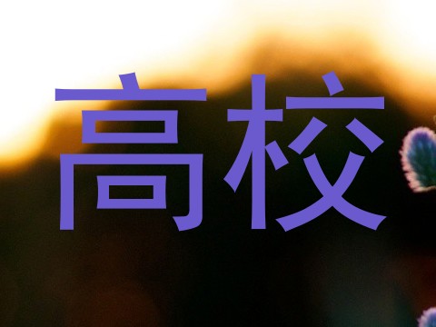 高校