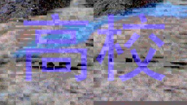 高校