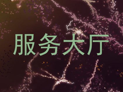 服务大厅
