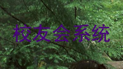 校友会系统