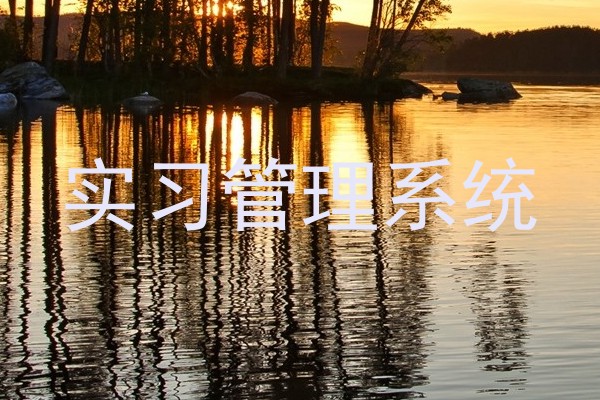 实习管理系统