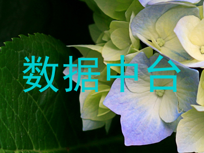 数据中台