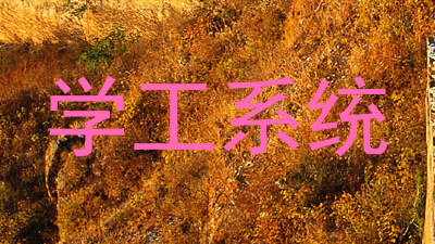 学工系统