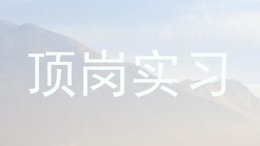 顶岗实习