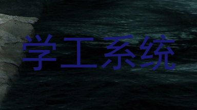 学工系统