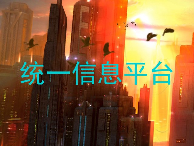 统一信息平台