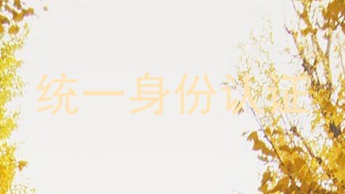 统一身份认证