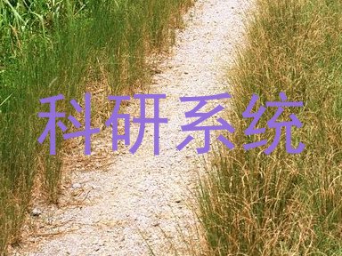 科研系统