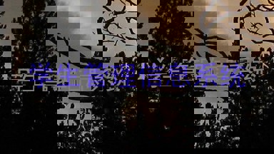 学生管理信息系统
