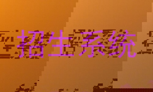 招生系统
