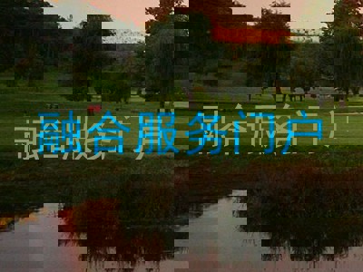 融合服务门户