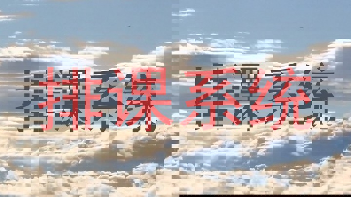 排课系统