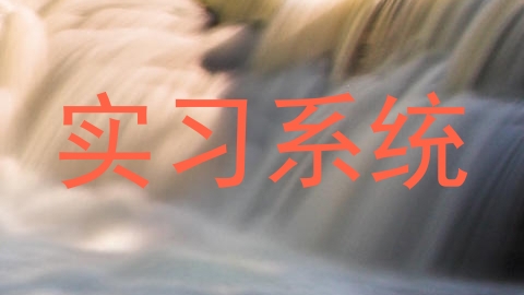实习系统