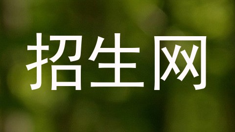招生网