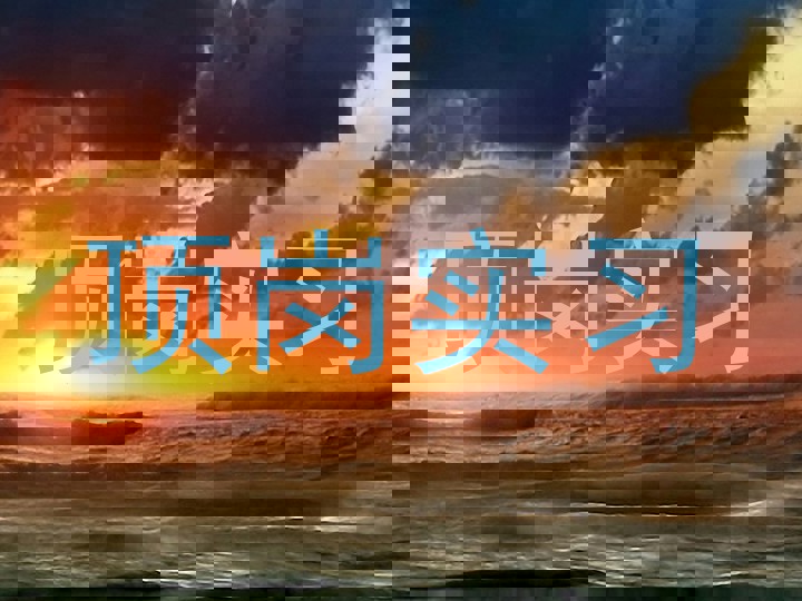 顶岗实习