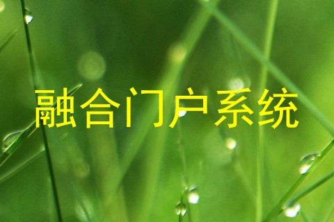 融合门户系统