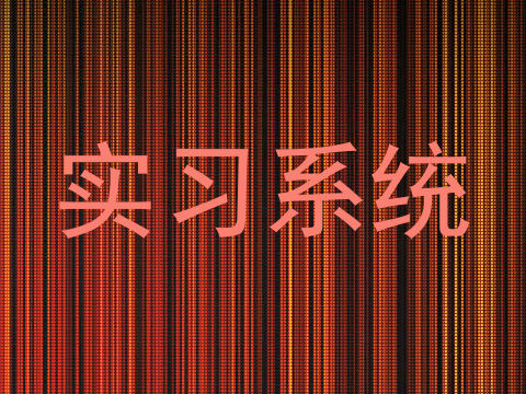 实习系统