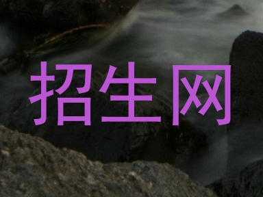招生网