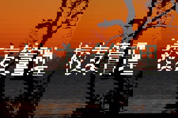 校友管理