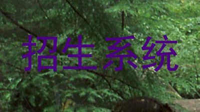 招生系统
