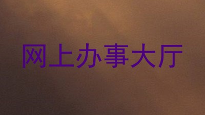 网上办事大厅