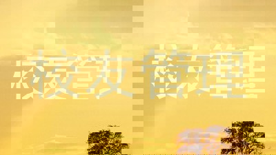 校友管理