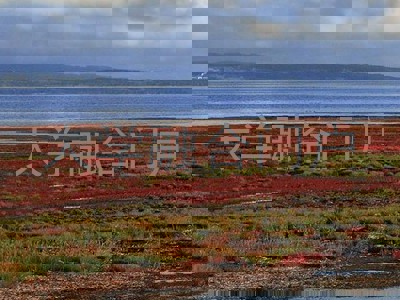 大学融合门户
