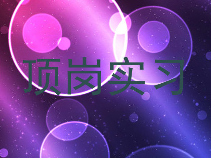 顶岗实习