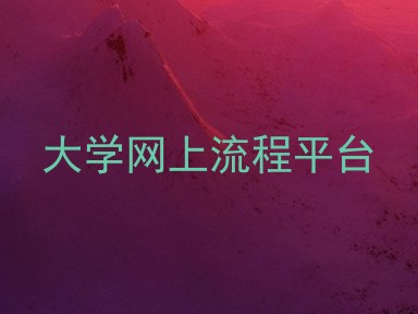大学网上流程平台