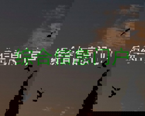 综合信息门户