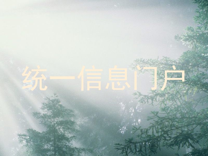 统一信息门户