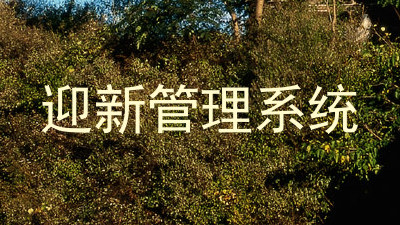 迎新管理系统