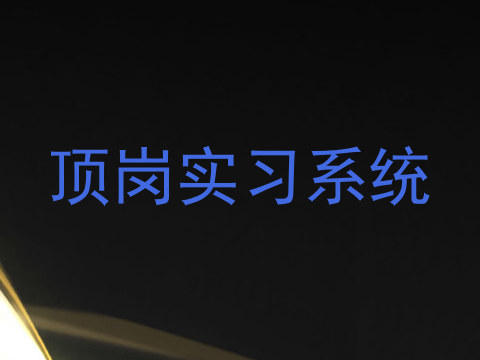顶岗实习系统