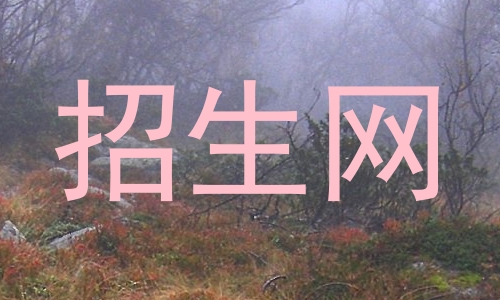 招生网