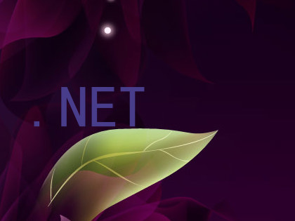 .NET